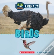 Capa do artigo Big And Small: Birds (Wild World)