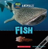 Big And Small: Fish (Wild World)