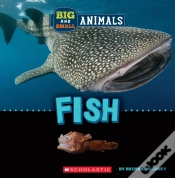 Capa do artigo Big And Small: Fish (Wild World)