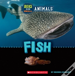 Capa do artigo Big And Small: Fish (Wild World)