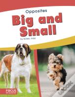 Big And Small