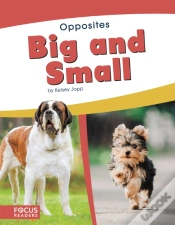 Capa do artigo Big And Small