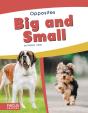 Big And Small - Preview