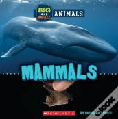 Big And Small: Mammals (Wild World)