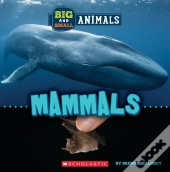 Big And Small: Mammals (Wild World)