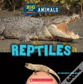Big And Small: Reptiles (Wild World)