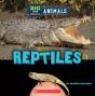 Big And Small: Reptiles (Wild World) - Preview