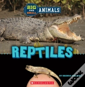 Big And Small: Reptiles (Wild World)