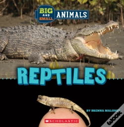 Capa do artigo Big And Small: Reptiles (Wild World)