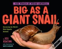Big As A Giant Snail