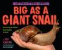 Big As A Giant Snail - Preview