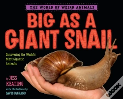 Capa do artigo Big As A Giant Snail