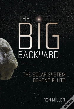 Capa do artigo Big Backyard