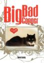 Big Bad Copper - Preview