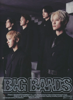 Capa do artigo Big Bands - CD