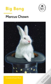Capa do artigo Big Bang: A Ladybird Expert Book