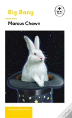 Capa do artigo Big Bang: A Ladybird Expert Book
