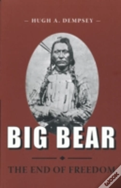 Capa do artigo Big Bear
