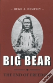 Capa do artigo Big Bear