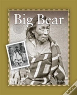 Capa do artigo Big Bear