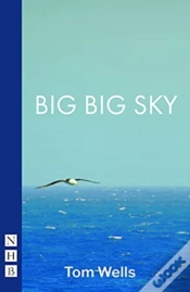 Capa do artigo Big Big Sky
