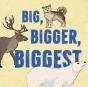 Big, Bigger, Biggest - Preview