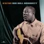 Big Bill's Blues - Vinil - Preview