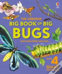 Big Book Of Big Bugs