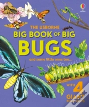 Capa do artigo Big Book Of Big Bugs