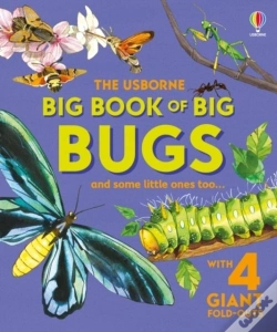 Capa do artigo Big Book Of Big Bugs