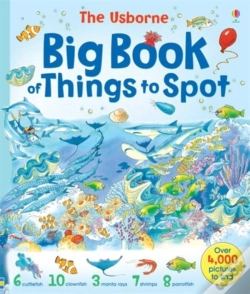 Capa do artigo Big Book Of Things To Spot