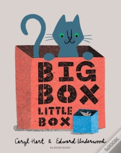 Capa do artigo Big Box Little Box