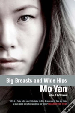 Capa do artigo Big Breasts, Wide Hips