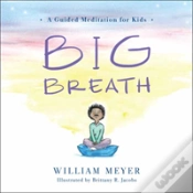 Capa do artigo Big Breath