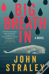 Capa do artigo Big Breath In