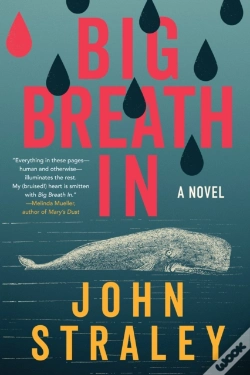 Capa do artigo Big Breath In