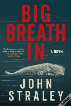 Capa do artigo Big Breath In