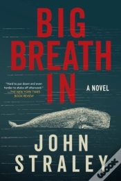 Capa do artigo Big Breath In