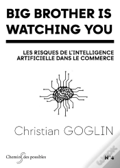 Capa do artigo Big Brother Is Watching You : Les Risques De L