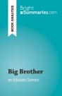 Big Brother - Preview