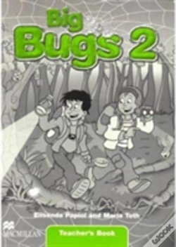 Capa do artigo Big Bugs 2 Flashcards International