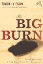 Big Burn - Preview