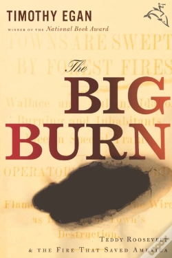 Capa do artigo Big Burn