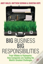 Big Business, Big Responsibilities