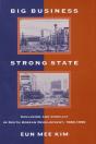 Big Business, Strong State - Preview