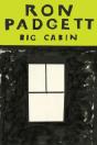 Big Cabin - Preview