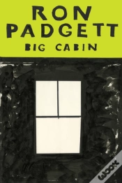 Capa do artigo Big Cabin