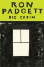 Big Cabin - Preview