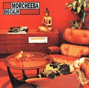 Capa do artigo Big Calm - Vinil