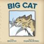 Big Cat - Preview